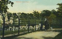 Alkmaar - Hertenkamp [002-7342