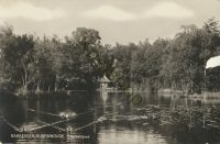 Bakkeveen-Duurswoude - Freulevijver [003-0174