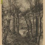 Domburg - Mantelingen [003-0594