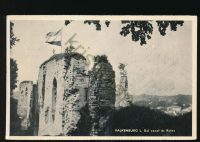 Valkenburg - Dal vanaf de ruïne [003-1078