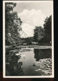 De Hoge Veluwe - Vijver bij Stenen Brug [003-3267