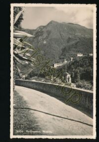 Belliuzona [KRST004-6886