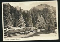 Auf der lenzerheide - Lenzerhorn [KRST005-1531