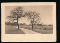 Winteranfang - Phot Gebr Fretz AG [KRST005-2962