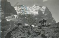 Schwarwaldalp [KRST005-3166