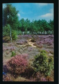 Oisterwijk - Bos-Restaurant Groot-Speyck [KRST005-5171