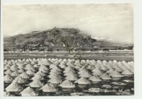 Trapani - Raccolta del sale [KRST005-5644