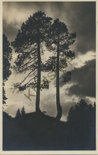 Suisse - Switserland  [KRST005-7062