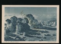 An der Brockenkuppe - Phot: Dr Defner   [KRST006-0252