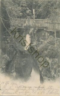Tête noire - Les Gorges [KRST006-3138