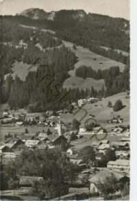 Lenk i S mit Mülkerblatt [KRST006-3372