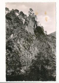 In die nähe Okertalsperre  - Hotel Romkerhalle   [KRST006-4418