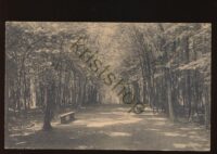Verviers - Coin dans le Bois de la Tourelle   [KRST006-4524
