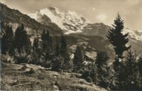 Wengen mit Schwimmbad [KRST006-4986