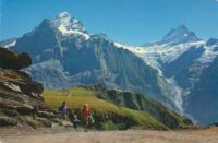 Grindelwald [KRST006-5372
