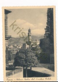 Firenze - Palazzo Vecchio dal Giardino Boboli [KRST006-7588