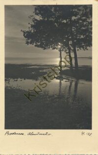 Bodensee [KRST007-0185
