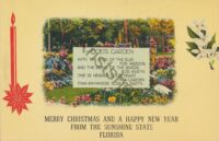 Florida - Merry Christmass and a Happy New Year  [KRST007-3189