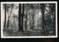 Fontainebleau  [KRST007-4913