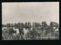 Grollo - Meeuwenplas Kronenkampveen [KRST007-6491