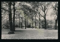 Bloemendaal - Bos [KRST007-6643