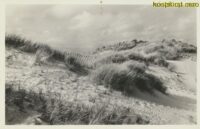 Texel - Duinen bij de Slufter [009-2944