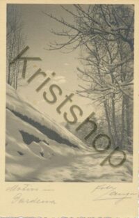 Motive Pardena - Foto Langer Ortisei  [009-6500