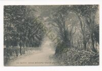 Isle of the Wight - The Fountain Avenue - Blackgang [KRST009-8351