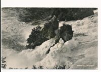 Rheinfall - Schloss Laufen [010-0506