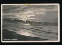 Scheveningen - Zeestudie  [010-1068