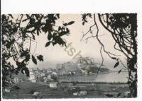 Calvi(Corse) [010-1566