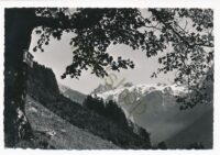 Schwand - Am Weg nach Schwand [010-3533