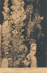 Aven Armand  [006-8282