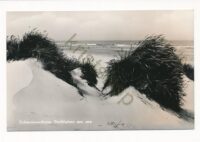 Schiermonnikoog - Stuifduinen aan zee [010-5767