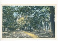 Doorn - Stichting Recr Centrum Het Grote Bos [KRST011-0228