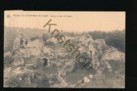 Ruines de la fortesse de Logne - Donjon et cour du Donjon [KRST011-3274