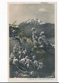 Vierwaldstättersee - Frühling [KRST011-6692