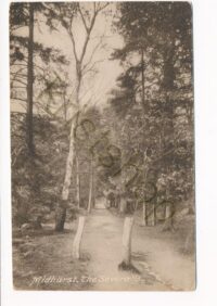 Midhurst - The Severalls [KRST011-7039