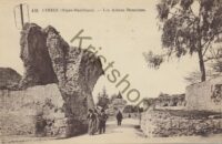 Cimiez - Les Arènes Romaines [KRST011-7802