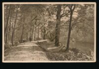 Leipziger Spaziergange -Am Wassergott [KRST012-3343