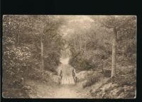 Bergen - De Kerkelaan [KRST012-4496