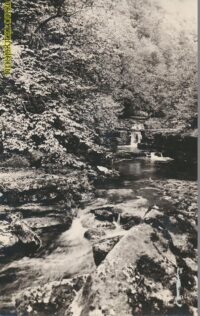 Franche-Comte [KRST012-5852