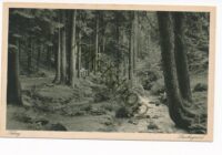 Tabarz - Thür Wald [KRST013-0577
