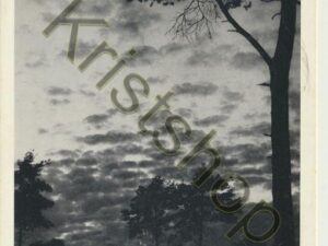Nunspeet - Vakantieoord Dennendal  [001-0005