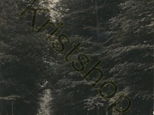 Zeist - Laan van Beek en Royen  [001-0017