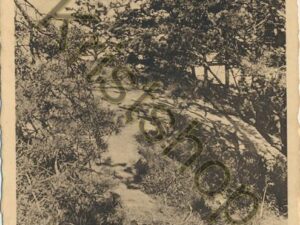 Soest - Soester Duinen  [001-0026