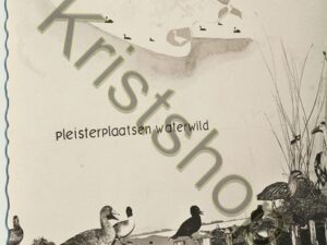 Oudemirdum - Streekmuseum - Pleisterplaatsen Waterwild  [001-0219