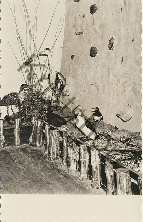 KRST001-0220_0.jpg Oudemirdum - Streekmuseum - oa Reiger [001-0220