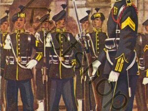 Garderegiment Jagers - Ceremoniele tenue Sergeant der 1ste Klasse - Korporal en Jagers - TSmits   [001-0328