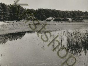 West-Terschelling - Duinmeertje Dodemanskisten [001-0373